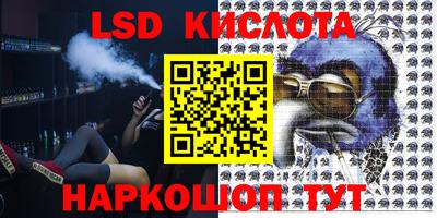 стаф Берёзовский