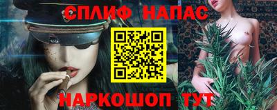 стаф Берёзовский
