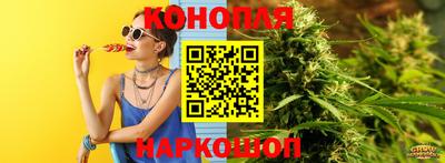 стаф Берёзовский
