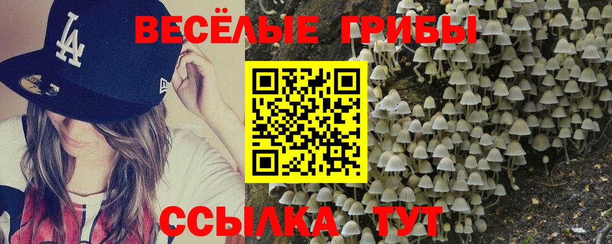 Галлюциногенные грибы Cubensis  Вход с VPN  Белово 
