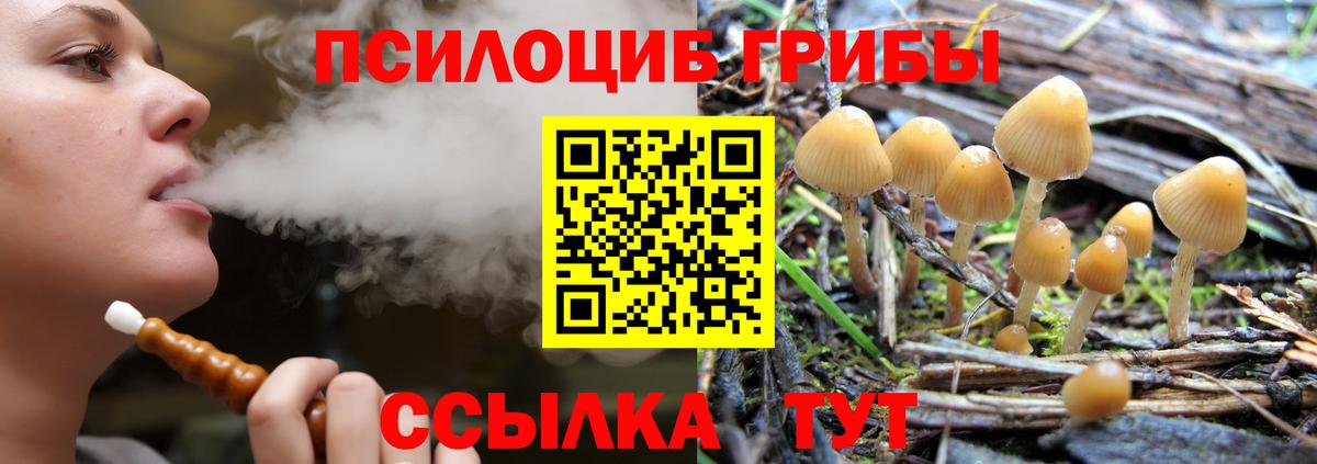 Галлюциногенные грибы GOLDEN TEACHER Белово